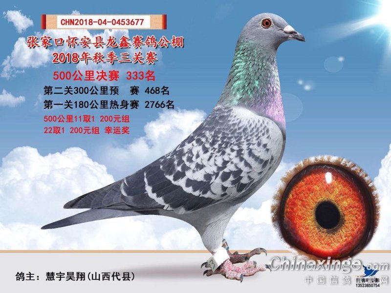 龙鑫之光:山西商贸业的新星
